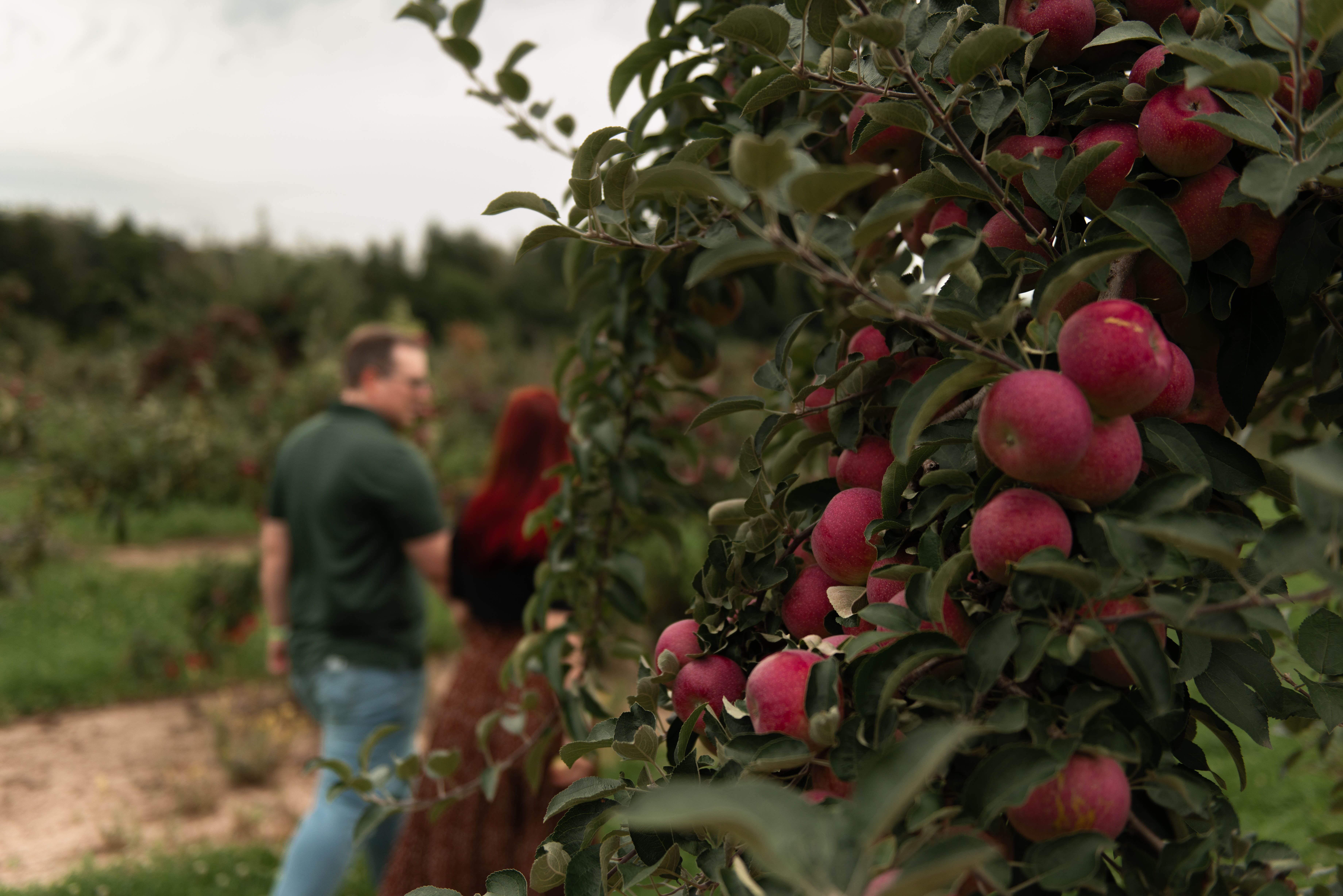 Hennard Wedding gallery moment 6